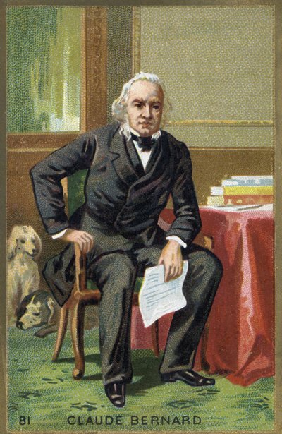 Ritratto di Claude Bernard (1813-1878), fisiologo francese da Unknown artist