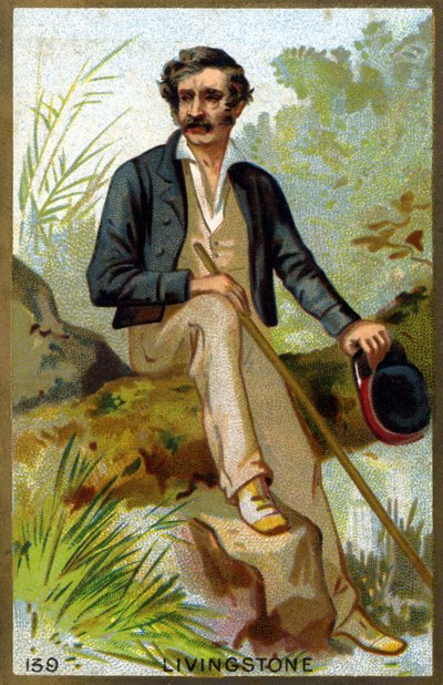 Ritratto di David Livingstone (cromolitografia della fine del XIX secolo) da Unknown artist