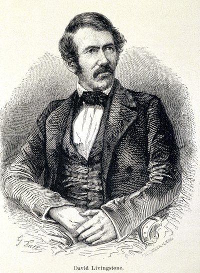 Ritratto di David Livingstone, missionario scozzese da Unknown artist