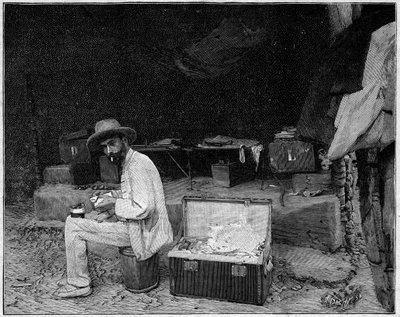 Ritratto del Dottor Francois Crozat (1858-1892) esploratore francese da Unknown artist