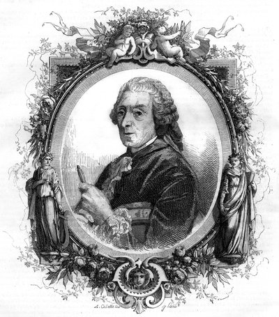 Ritratto del pittore inglese François Boucher (1703-1770) incisione del 1858 da Unknown artist