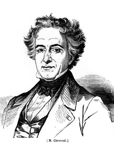 Ritratto di Eugene Chevreuil (1786-1889), pittore francese da Unknown artist