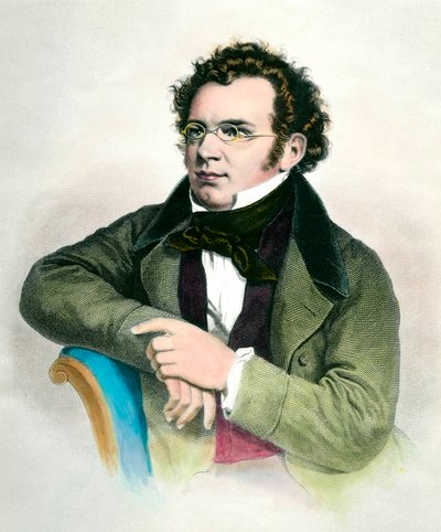 Ritratto di Franz Schubert, compositore austriaco da Unknown artist