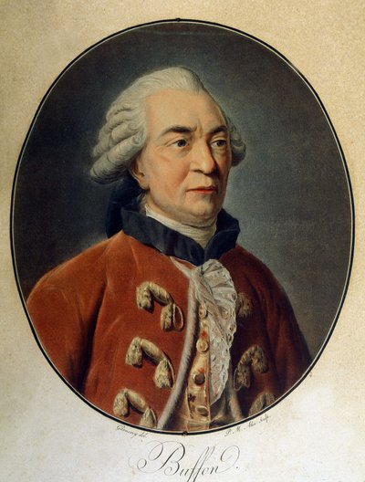 Ritratto di Georges Louis Leclerc, Conte di Buffon (1707 - 1788), naturalista e scrittore francese. da Unknown artist