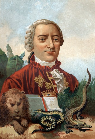 Ritratto di Georges Louis Leclerc, Conte di Buffon (1707-1788), naturalista e scrittore francese. Cromolitografia XIX secolo. da 