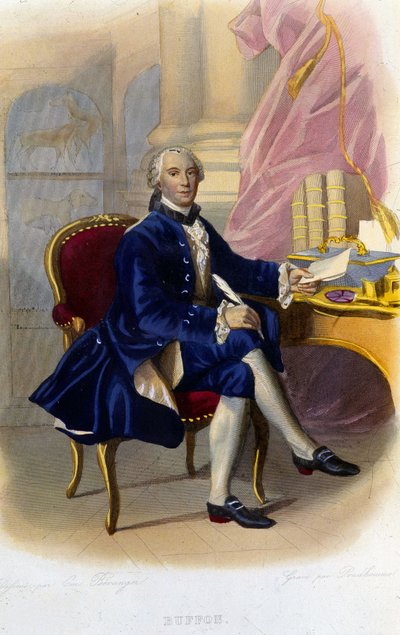 Ritratto di Georges Louis Leclerc, Conte di Buffon (1707 - 1788), naturalista e scrittore francese. In "Le Plutarque français" da Unknown artist