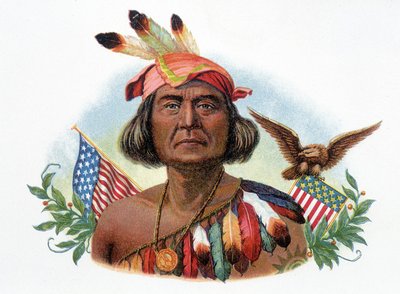 Ritratto di Geronimo, capo Apache davanti a bandiere americane. Cromolitografia del XIX secolo. da Unknown artist