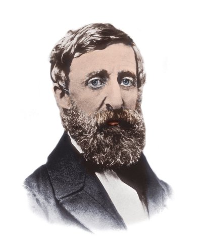 Ritratto di Henry David Thoreau (1817-1862) - saggista, poeta, filosofo, abolizionista, naturalista, critico dello sviluppo, topografo e storico americano da Unknown artist