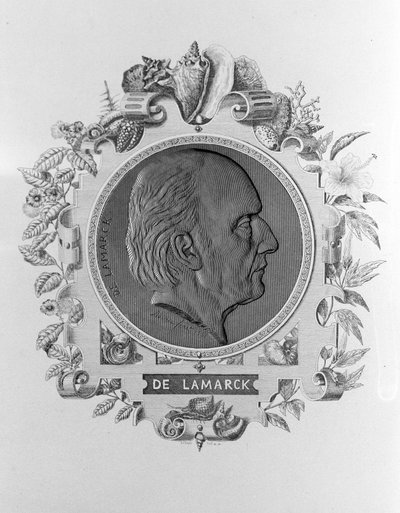 Ritratto di Lamarck (1744-1829) da Unknown artist