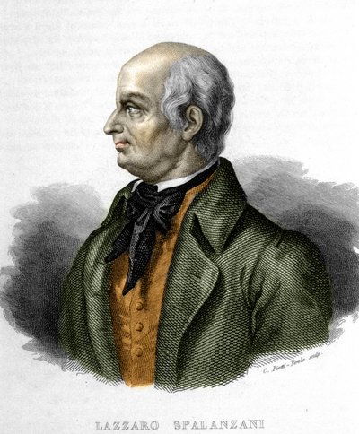 Ritratto di Lazzaro Spallanzani, biologo italiano (1729 - 1799) da Unknown artist