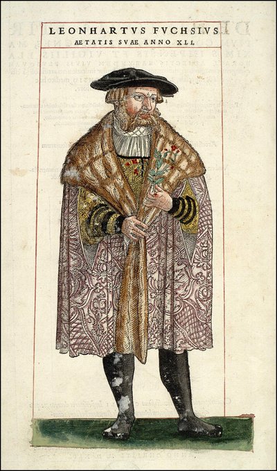 Ritratto di Leonhart Fuchs: botanico - medico tedesco (1501 - 1566) - in "De Historia Stirpium commentarii badges,..." di Leonhart Fuchs da Unknown artist