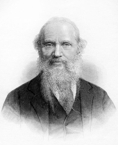 Ritratto di Lord Kelvin (William Thomson) da Unknown artist