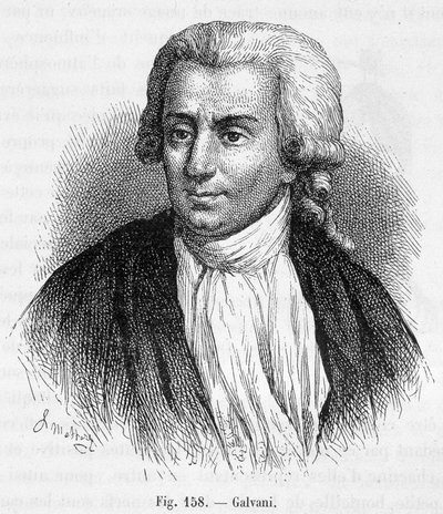 Ritratto di Luigi Galvani, medico e fisico italiano (1737 - 1798) - in "Magnetismo ed Elettricità" di Amédée Guillemin da Unknown artist