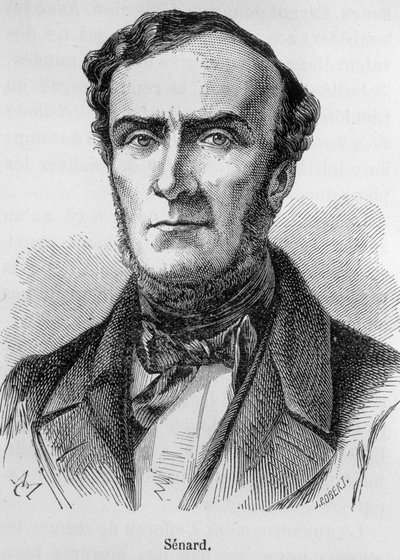 Ritratto di Marie Antoine Jules Senard, membro del Foro di Parigi, ex Presidente dell