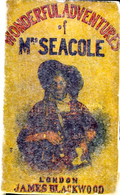Ritratto di Mary Jane Seacole (1805 - 14 maggio 1881), nata Grant. Una donna giamaicana di origine scozzese e creola che ha fondato un 
