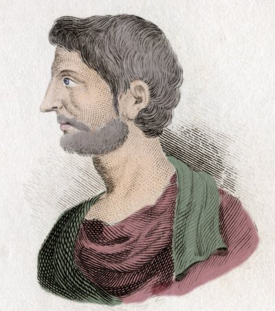 Ritratto di Pompeo Magno (Gneo Pompeo Magno) da Unknown artist