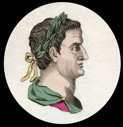 Ritratto di Servio Sulpicio Galba (3 a.C.-69 d.C.), imperatore romano. Incisione del XIX secolo da Unknown artist