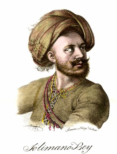 Ritratto di Solimano I il Magnifico (1494-1566), Sultano Ottomano da Unknown artist