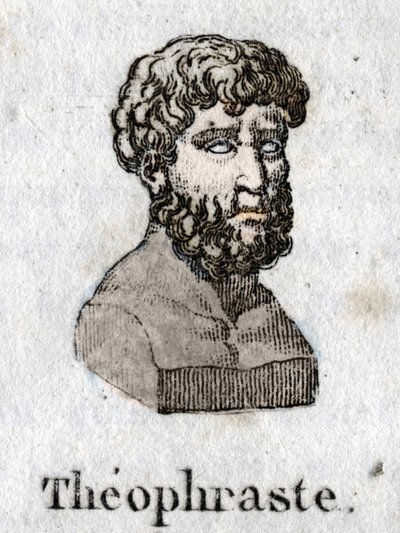 Ritratto di Teofrasto (372 a.C.- 287 a.C.), filosofo greco da Unknown artist