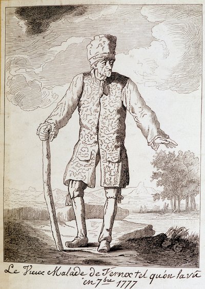 Ritratto di Voltaire (1694-1778), scrittore e filosofo francese, anziano da Unknown artist