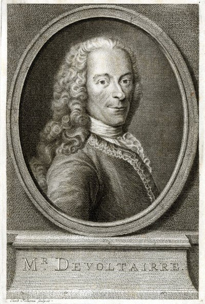 Ritratto di Voltaire. Incisione del XIX secolo da Unknown artist