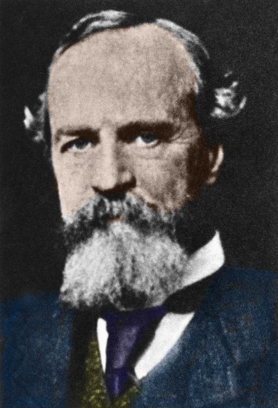 Ritratto di William James (1842-1910), filosofo pragmatista americano. da Unknown artist