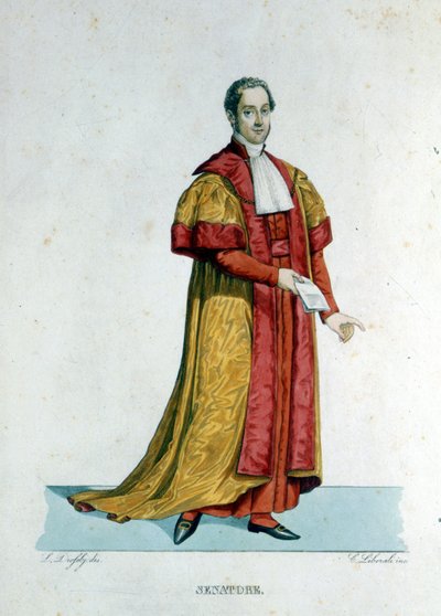 Ritratto di un Senatore Pontificio dello Stato Vaticano da Unknown artist