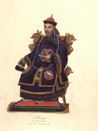 Ritratto di un mandarino da Unknown artist