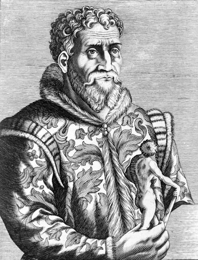 Ritratto del pittore italiano Michelangelo Buonarroti noto come Michelangelo da Unknown artist