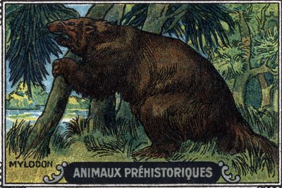 Animale preistorico: un mylodon. da Unknown Artist