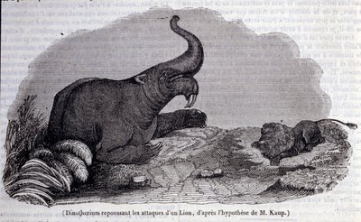 Preistoria: rappresentazione di un Dinotherium, tipo di pachiderma, che respinge l
