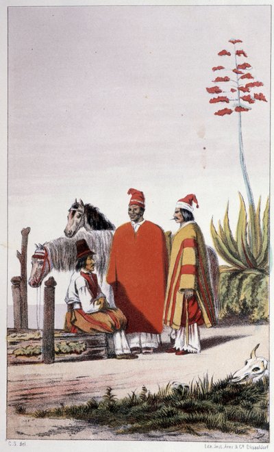 Privati e contadini, Buenos Aires - in "First swedish circumnavigation" di Skogman Carl Johan Alfred, ed. Stoccolma, Adolf Bonnier da Unknown artist