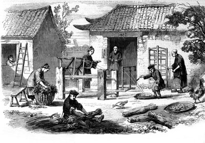 Produzione della seta in Cina e le varie fasi della lavorazione da Unknown artist