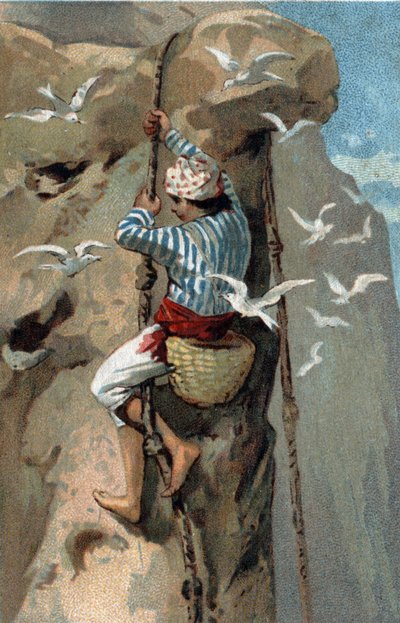 Raccolta di nidi di rondini salangan in Malesia. Cromolitografia della fine del XIX secolo da Unknown artist