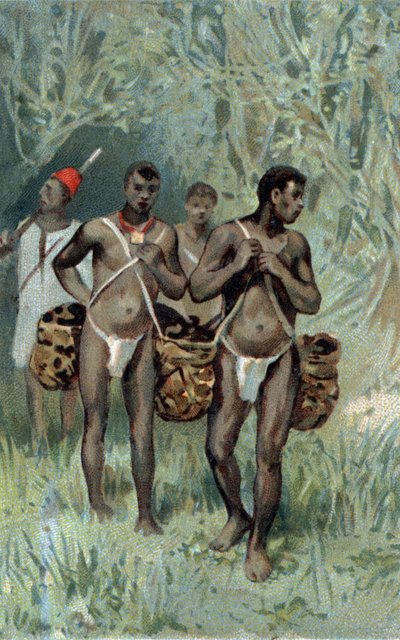 Raccolta della gomma in Congo. Cromolitografia della fine del XIX secolo da Unknown artist