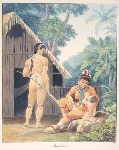 Caribi rossi, c.1843-50 da Unknown artist