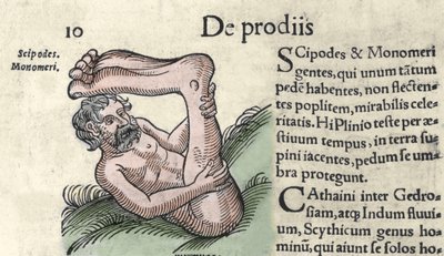 Rappresentazione di un mostro Sciapode. Incisione da 