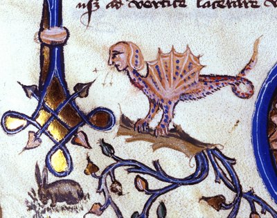 Rappresentazione di un animale fantastico metà uomo metà drago. Miniatura di un manoscritto del XIV secolo da Unknown artist