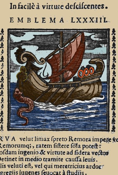 Rappresentazione di una remora che, secondo le storie di Plinio, Sant