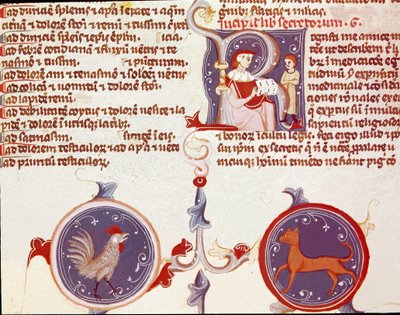 Rappresentazione di un gallo e un gatto, in alto due personaggi, probabilmente il traduttore che presenta il suo lavoro al dottore (miniatura) da Unknown artist