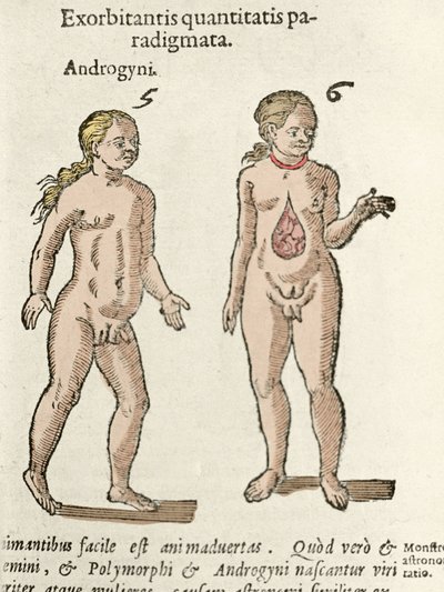 Rappresentazione di un androgino e di un ermafrodito. Tavola tratta da “De natura Divinis caracteris” di Cornelio Gemma, 1575 da Unknown artist