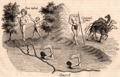 Rappresentazione di tribù medievali e specie animali: Monoculi, Blemmys, Sciopodi e cammelli da Unknown artist