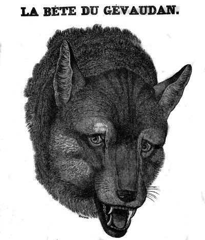 Rappresentazione della Bestia del Gévaudan da Unknown artist