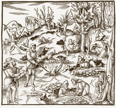 Rabdomanzia - Esplorazione di un campo minerario usando la bacchetta divinatoria - Gli uomini tagliano e usano bacchette divinatorie per localizzare i minerali - Da "De re metallica" di Georgius Agricola (Georg Bauer), Basilea da Unknown artist