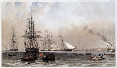 Yacht reale d