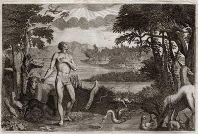 Bibbia di Royaumont, Antico Testamento: Creazione dell