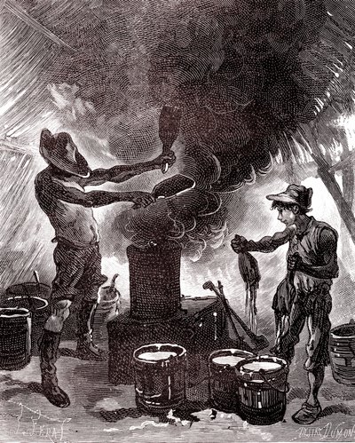 Preparazione della gomma o vulcanizzazione nella foresta brasiliana da Unknown artist