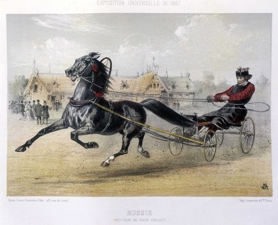 Russia: trottatore di razza Orloff - in "Il Centauro" 1867 da Unknown artist