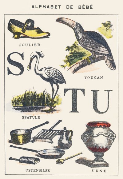 S T U: scarpa, spatola, tucano, utensili, urna da Unknown artist