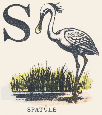 S: spatola da Unknown artist
